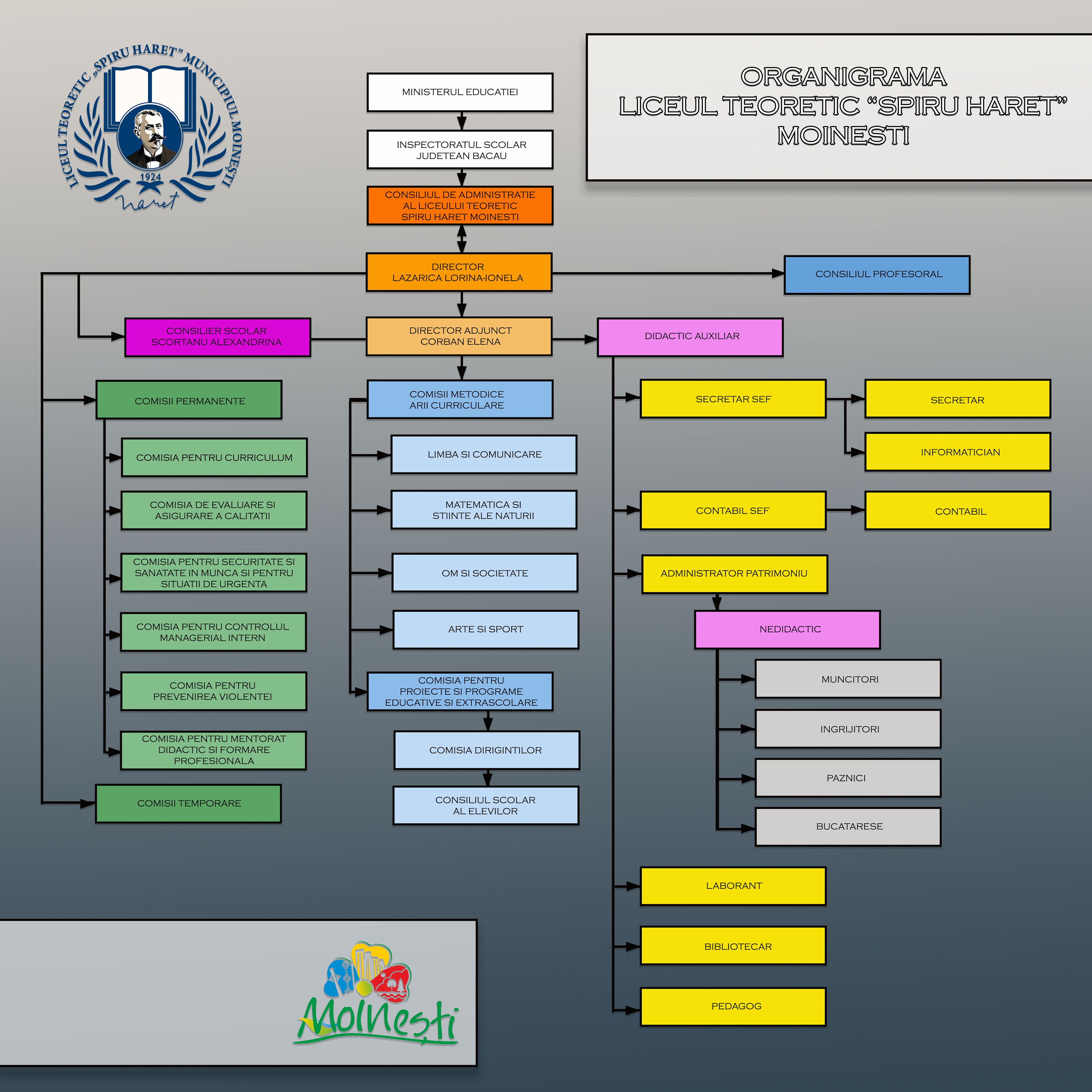 Organigrama Liceul Teoretic Spiru Haret Moinesti